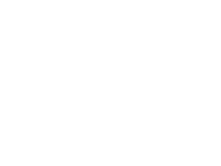 Fe Seguros