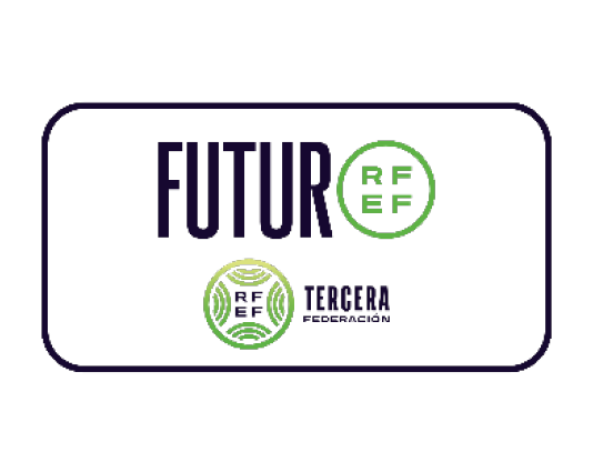 Real Federación Española de Fútbol